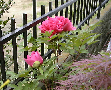 ���������