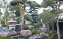造園工事8