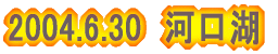 ͌