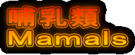哺乳類
Ｍａｍａｌｓ